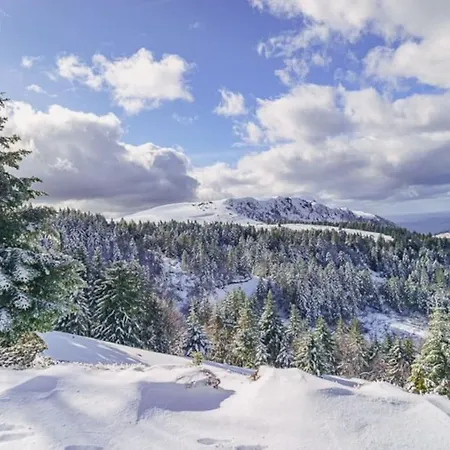 Appartement Appt Lumineux, Thermes Et Montagne