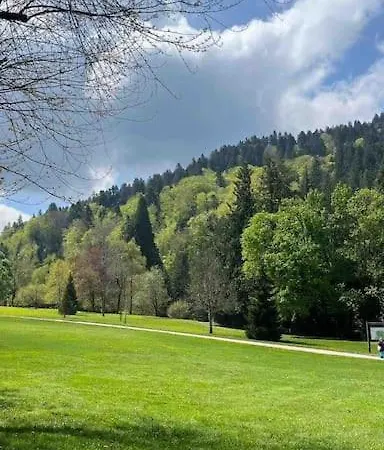 Appt Lumineux, Thermes Et Montagne Appartement La Bourboule