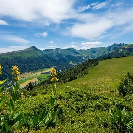 Appt Lumineux, Thermes Et Montagne Appartement La Bourboule