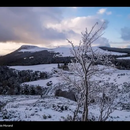Daire Appt Lumineux, Thermes Et Montagne La Bourboule