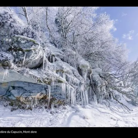 Appt Lumineux, Thermes Et Montagne Daire *