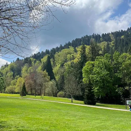 Appt Lumineux, Thermes Et Montagne La Bourboule