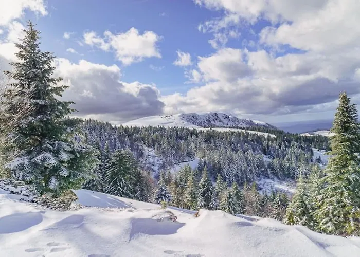 Appartement Appt Lumineux, Thermes Et Montagne