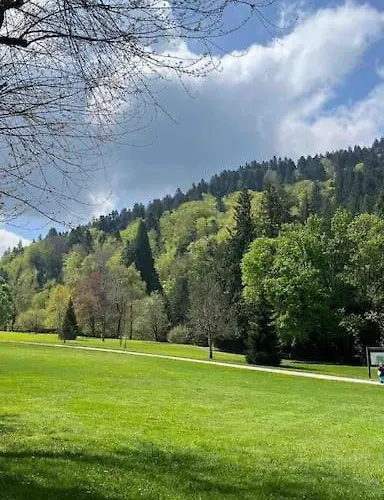 Appt Lumineux, Thermes Et Montagne Appartement La Bourboule