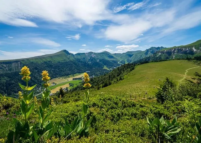 Appt Lumineux, Thermes Et Montagne Appartement La Bourboule