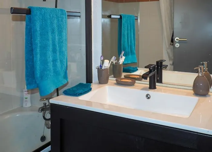 Appt Lumineux, Thermes Et Montagne La Bourboule