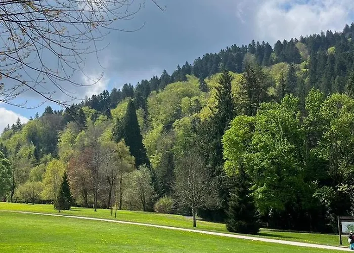 Appt Lumineux, Thermes Et Montagne La Bourboule
