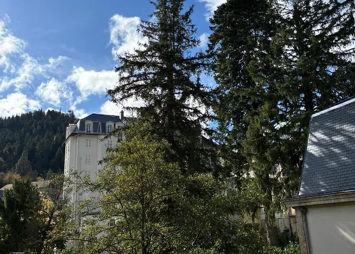 Appt Lumineux, Thermes Et Montagne * La Bourboule