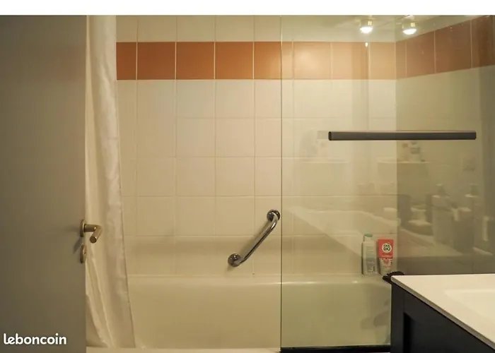 Appartement Appt Lumineux, Thermes Et Montagne